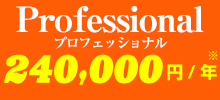 プロフェッショナルプラン